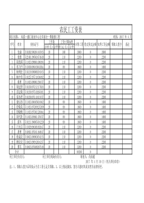 2017农民工工资表