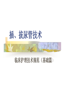 导尿术培训讲义：