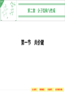 共价键(人教版化学选修3-32张)