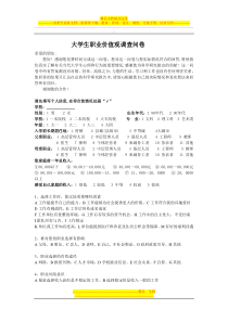 大学生职业价值观调查问卷