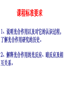 光合作用的探究历程和光合作用的过程