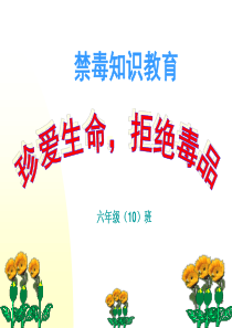 小学禁毒教育PPT