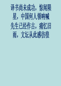 《记念刘和珍君》ppt课件