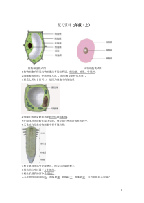 初中生物总复习重点图