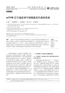 mTOR信号通路调节细胞能量代谢的机制-肖昊