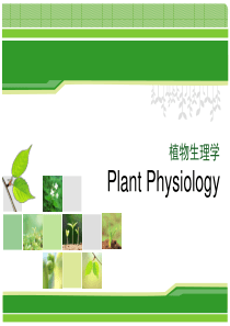 植物生理学竞赛课件01