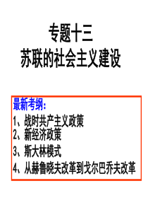 13-苏联的社会主义建设