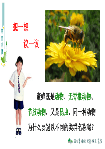 八年级生物(上)从种到界(课件)(人教版)