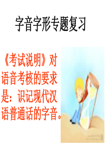 字音字形专题复习