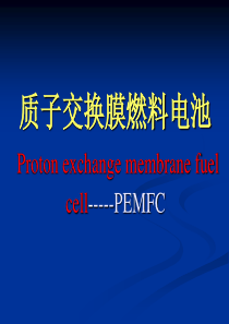 燃料电池质子交换膜燃料电池详解