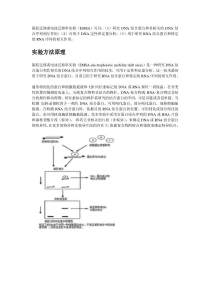 EMSA原理流程