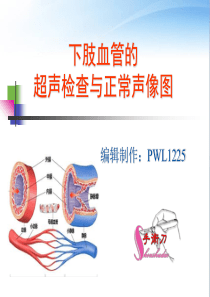 下肢血管的超声检查及正常声像图