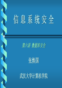 信息系统安全第六讲数据库安全