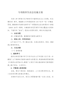 专项组织生活会实施方案