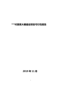 蔬菜大棚建设项目可行性报告