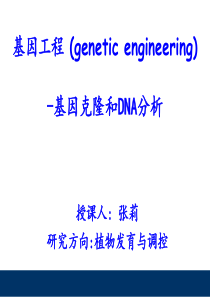 基因工程 第一章 克隆