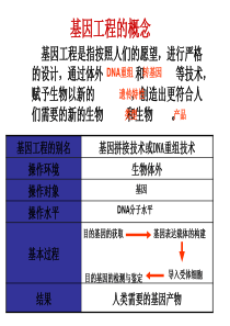 基因工程专题1-4课时复习课用共2课时上完