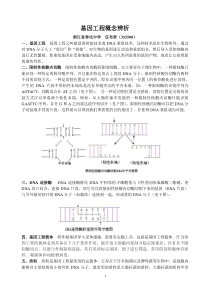 基因工程概念辨析