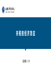 关税经济效应分析-国贸课件