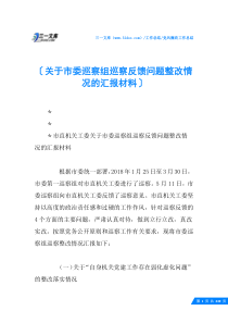 (√)关于市委巡察组巡察反馈问题整改情况的汇报材料