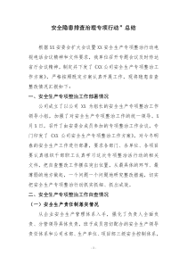 公司安全隐患排查治理专项行动工作汇报