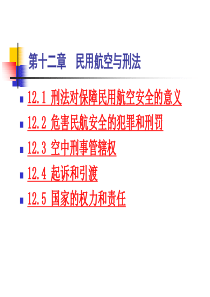 12民用航空与刑法-42页PPT精选文档