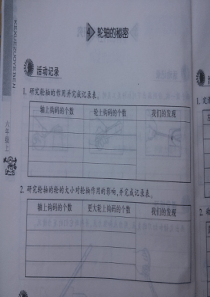 教科版-小学六年级科学上册作业本答案PPT版