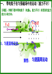 带电粒子在匀强磁场中的运动公开课