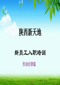 劳动纪律管理规定-幻灯片