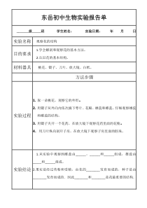 观察花的结构实验报告