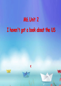 《I-havent-got-a-book-about-the-US》PPT课件