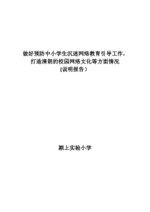 打造清朗的校园网络文化等方面情况(说明报告)