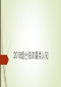 2018烟台实习海滨藻类认知