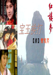 宝玉挨打(优秀课件)