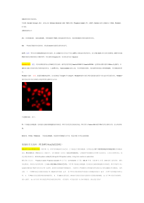 常见细胞核荧光染料