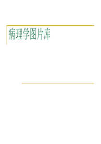 病理学实验切片考试图