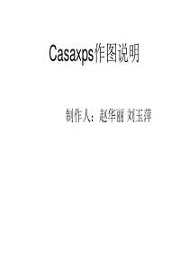 casaxps作图说明解析