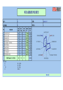 《项目成熟度评估报告》