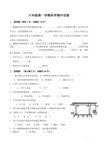 教科版六年级科学上册期中试卷