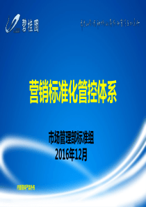 最新：碧桂园营销标准化管控体系2016年12月