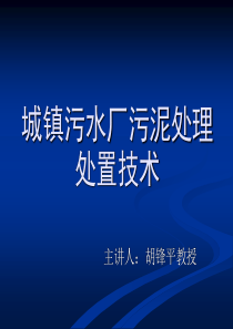 2019最新城镇污水厂污泥处理处置技术324化学