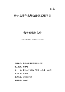 建筑工程投标竞争性谈判文件