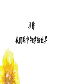 统编本语文三年级上册习作-我们眼中的缤纷世界