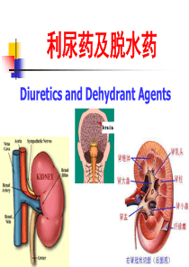 利尿药及脱水药