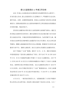 爱心公益促进会xx年度工作总结