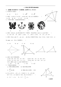 人教版八年级数学上册期中测试题