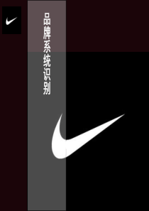 NIKE品牌分析剖析