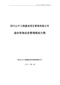 造价咨询业务管理规划大纲