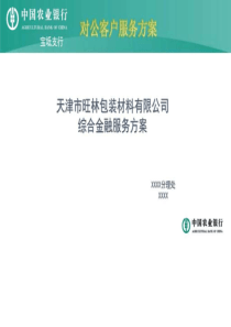 农行金融服务方案-图文.ppt-文档资料