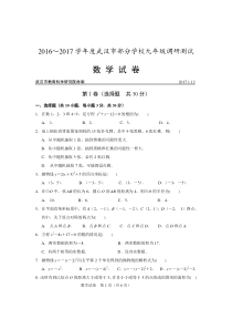 2016-2017学年度武汉市九年级元月调考数学试卷及评分标准